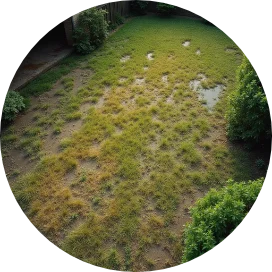 Uneven, Patchy Lawn