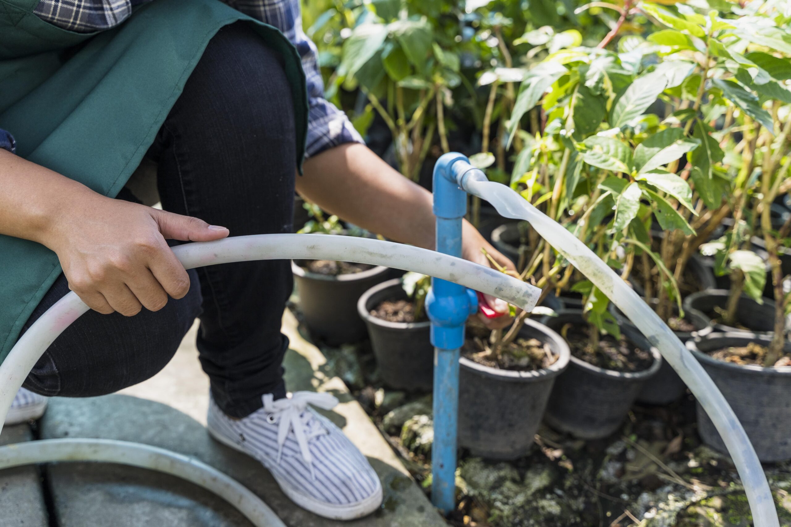 Outdoor Drainage Remediation