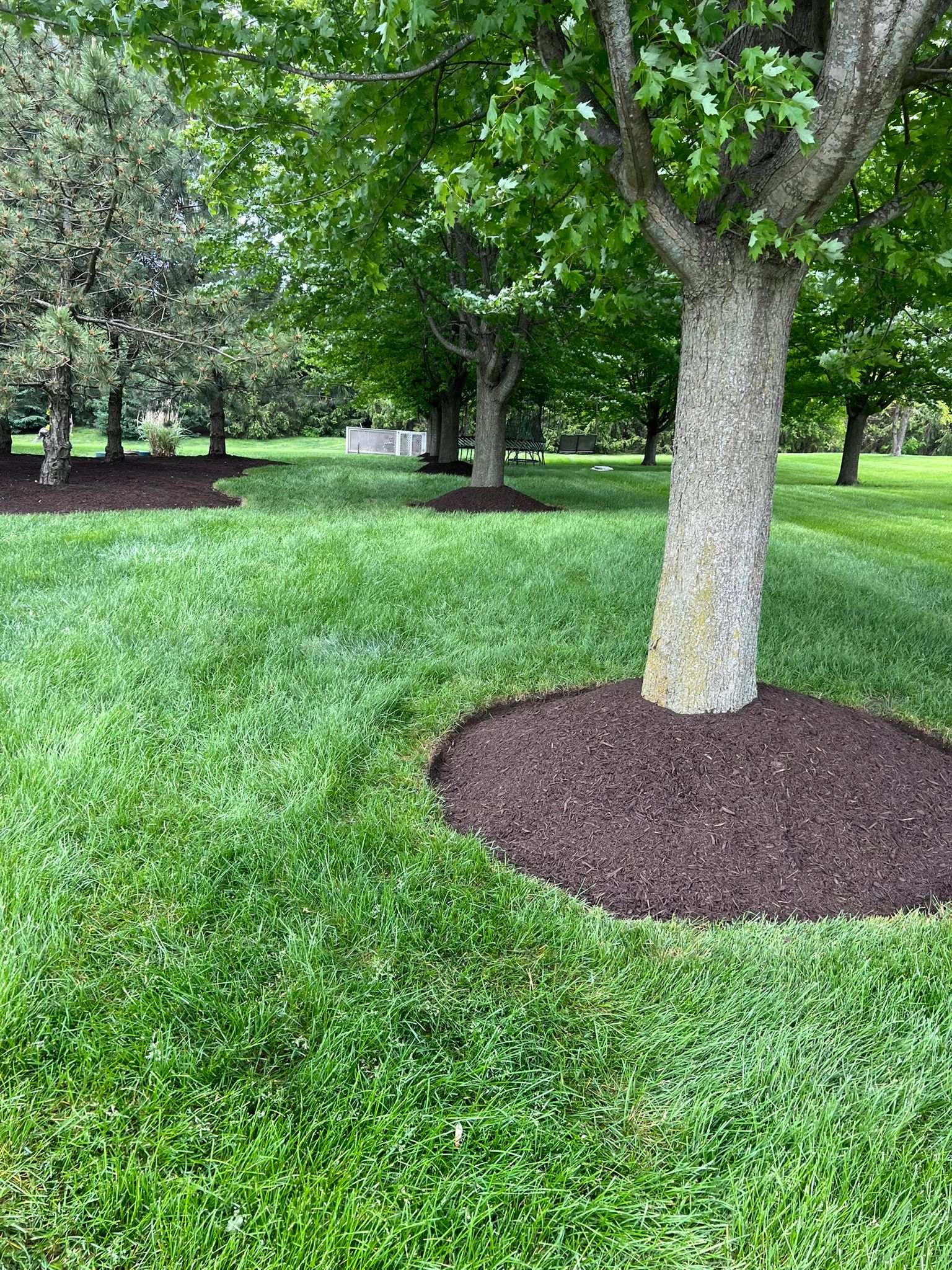 Full Lawn Coverage Test · Plainfield