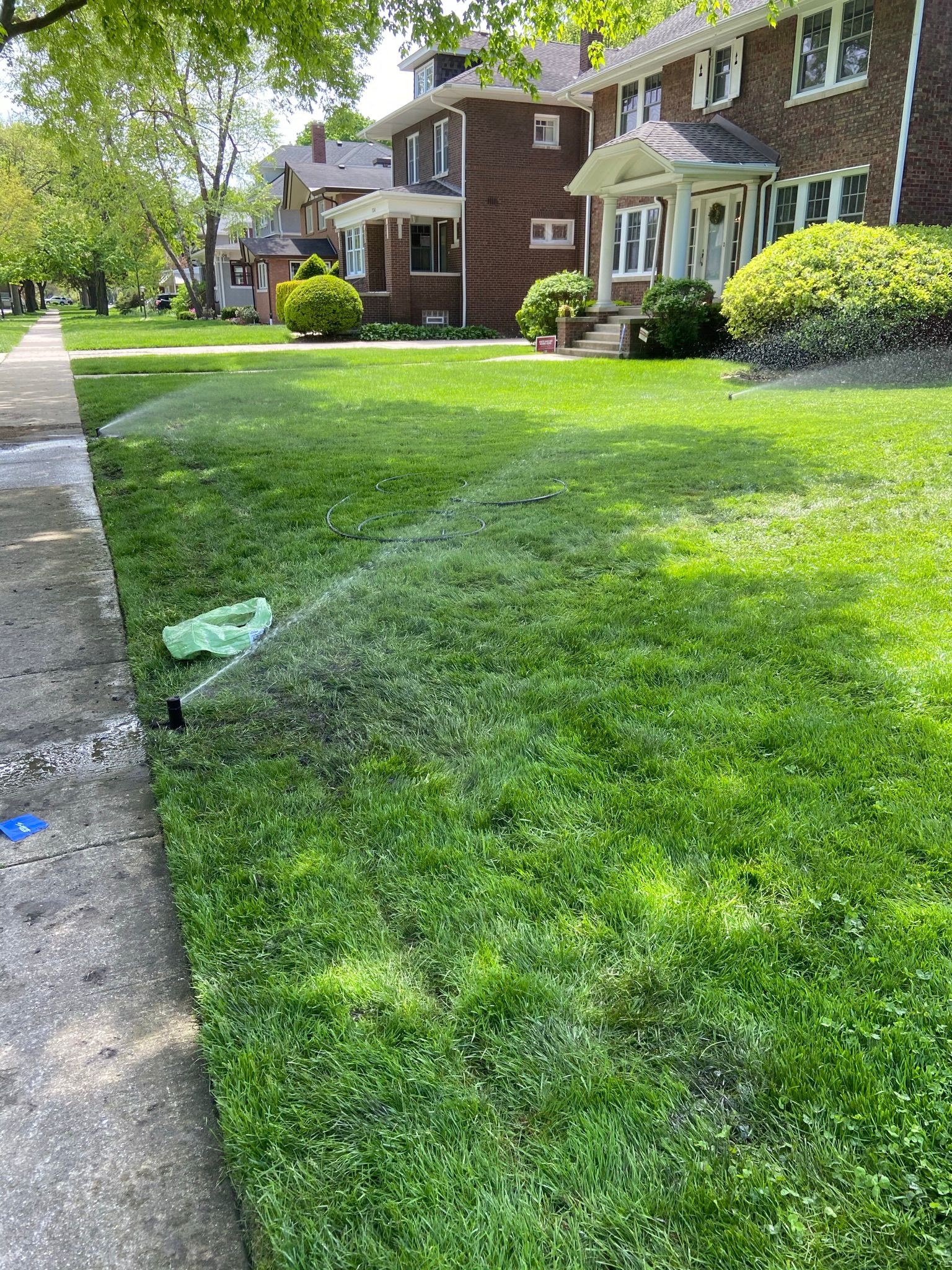 Lush Lawn After Install · Oswego