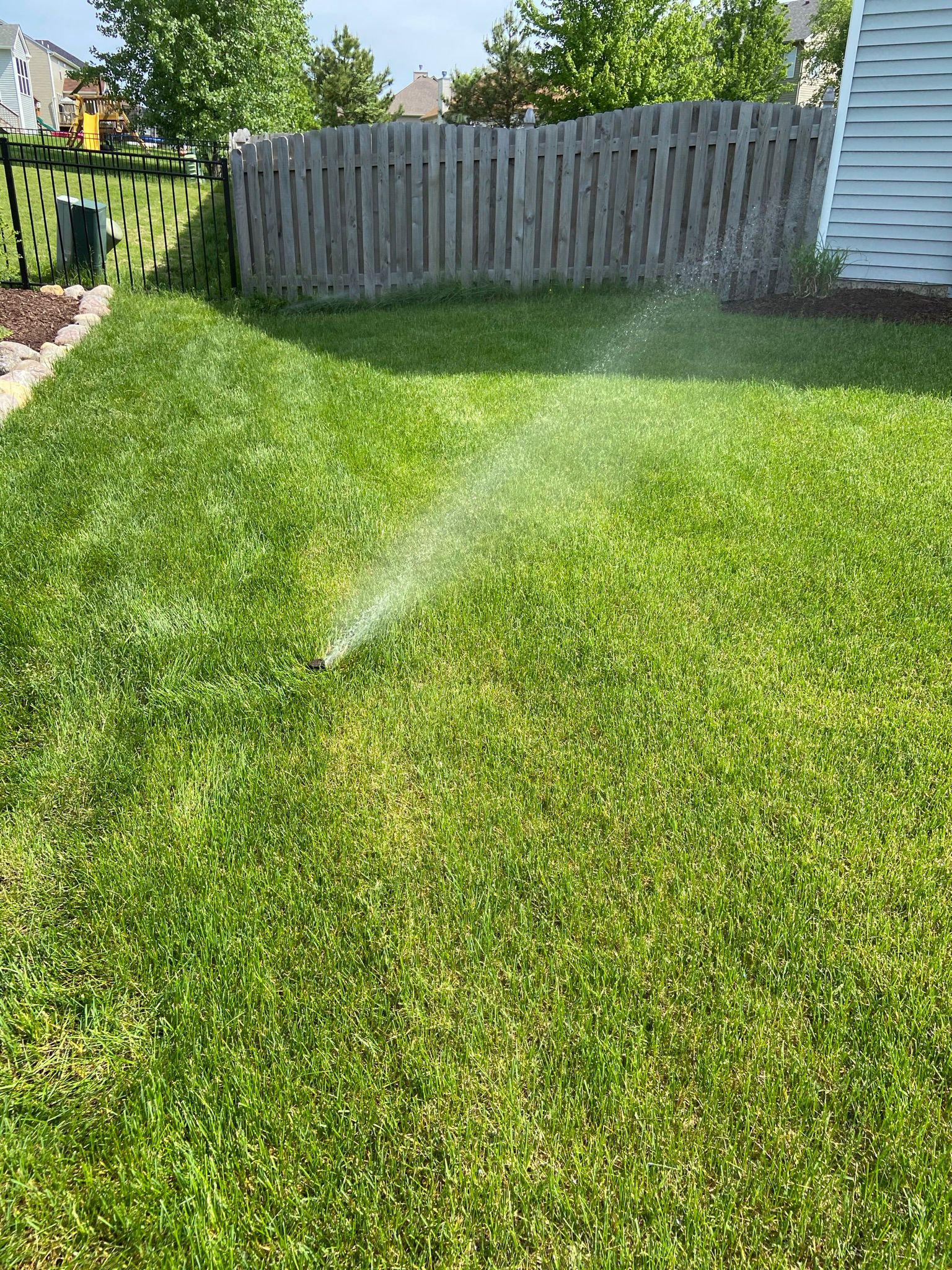 Spring Start-Up · Naperville